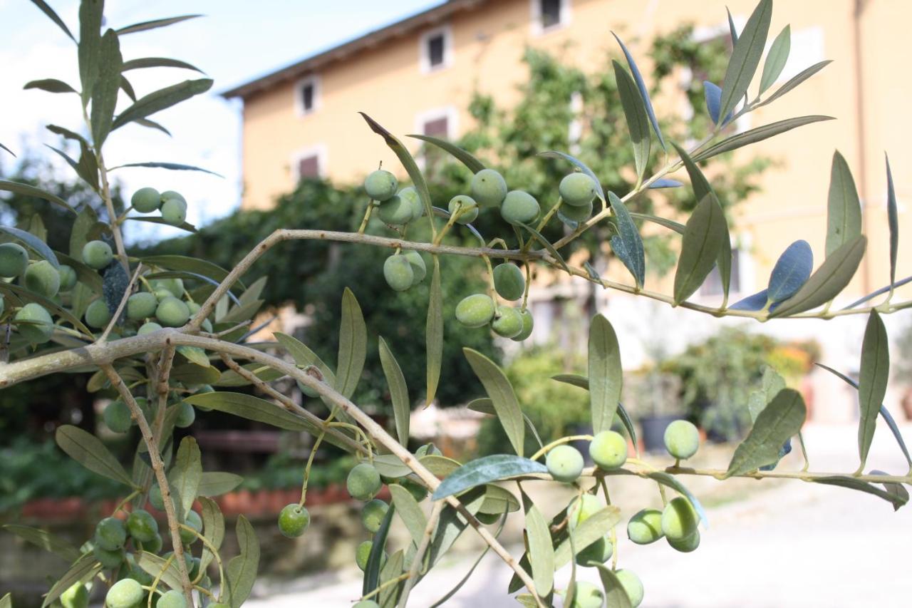 B&B Al Frantoio Chiusi Exterior foto
